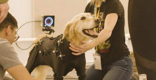 平博·(pinnacle)官方网站