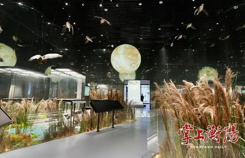 平博·(pinnacle)官方网站