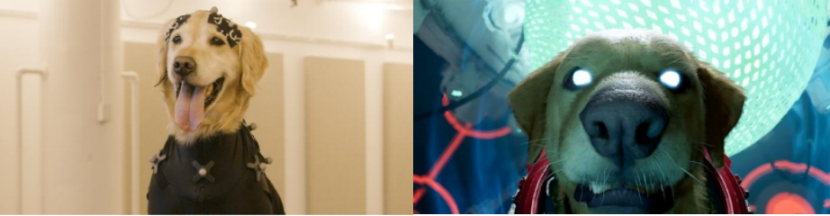 平博·(pinnacle)官方网站