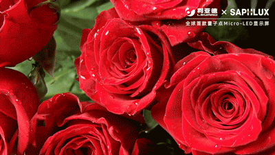 平博·(pinnacle)官方网站