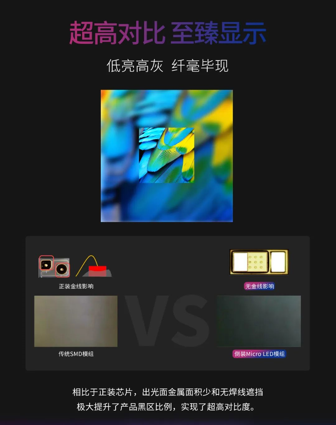 一期一会 | 一图读懂平博·利晶MIP新品系列