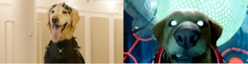 平博·(pinnacle)官方网站